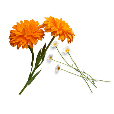 CALENDULA & CAMOMILLE