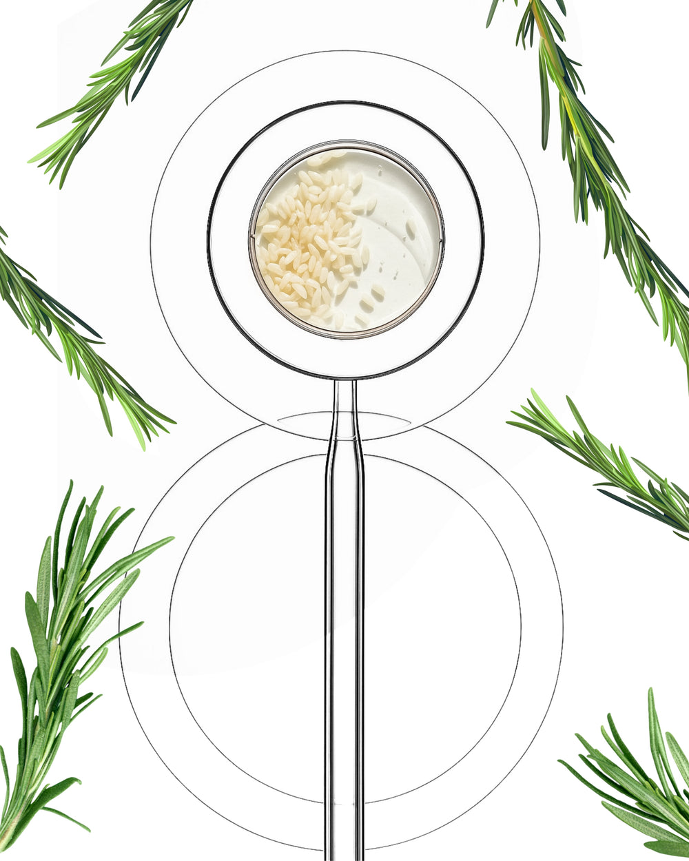 Oryza + Romarin