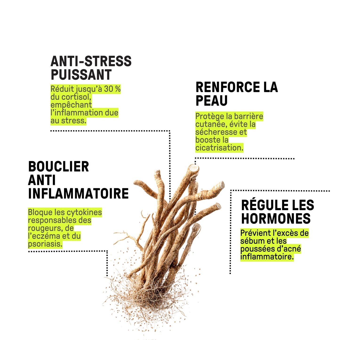 NOTRE DUO ANTI-ROSACÉE