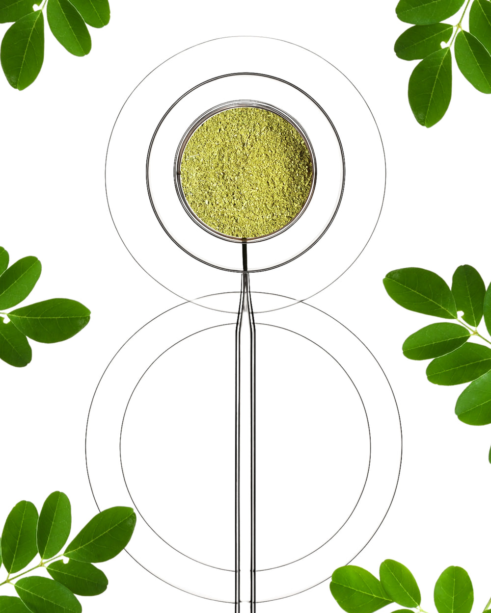 MORINGA + ANTIOXYDANTS