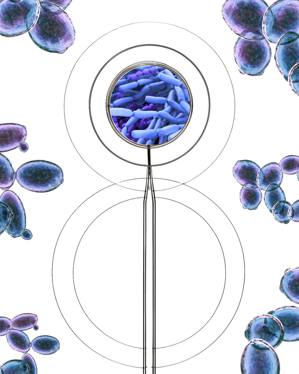 Probiotiques + actifs apaisants