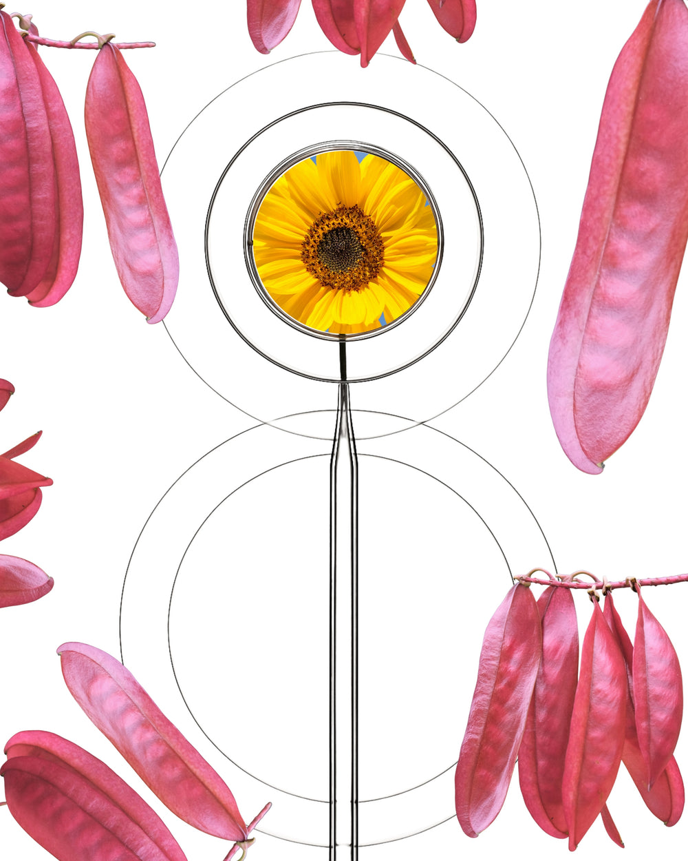 Vitamine C 