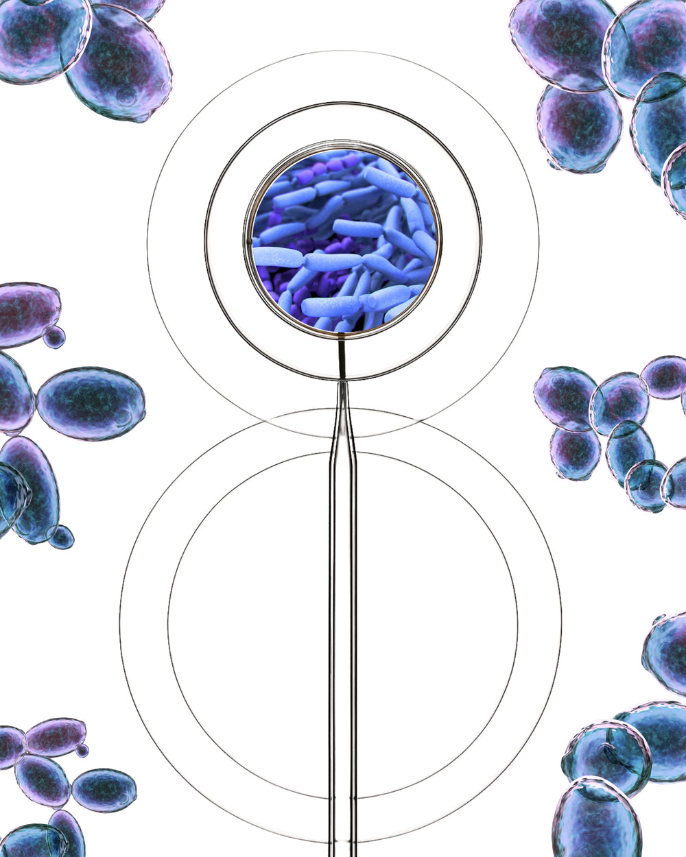 Acide Hyaluronique + Probiotiques & Enzymes