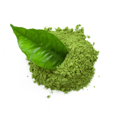 Moringa + Antioxydants