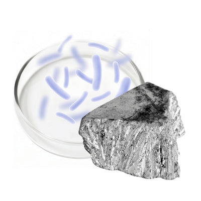 PROBIOTIQUES + ZINC