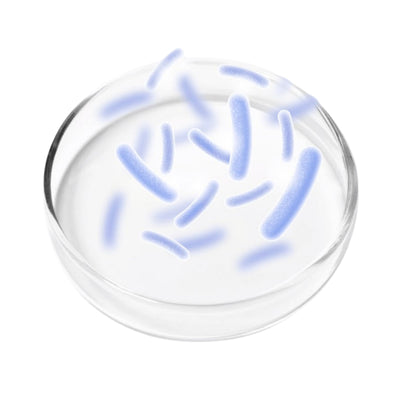 Probiotiques + actifs apaisants
