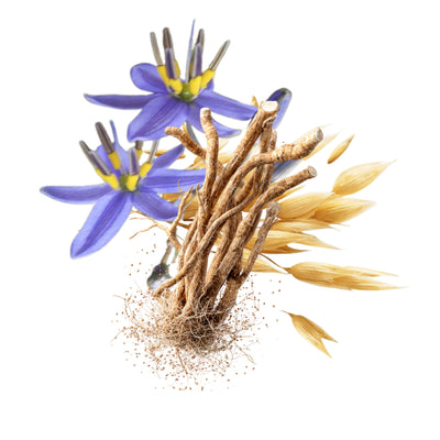 Revyvil + Ashwagandha + Oryza